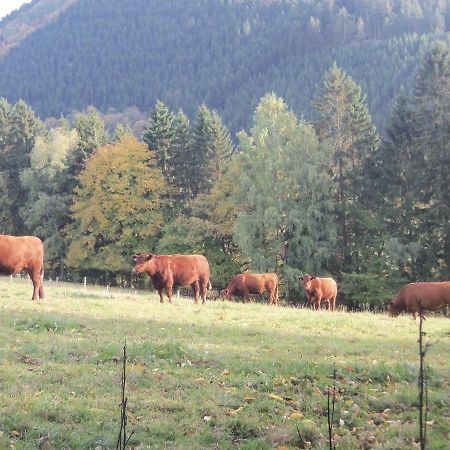 Urlaub Auf Dem Bauernhof Apartman Netphen Kültér fotó